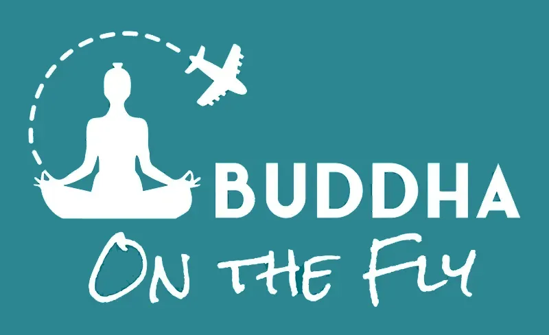 BB Fly Logo 800aa Buddha on the fly logo