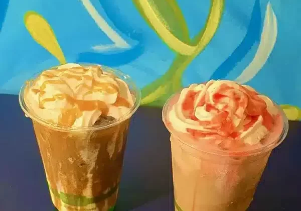 Drinks 600v Drinks 600v